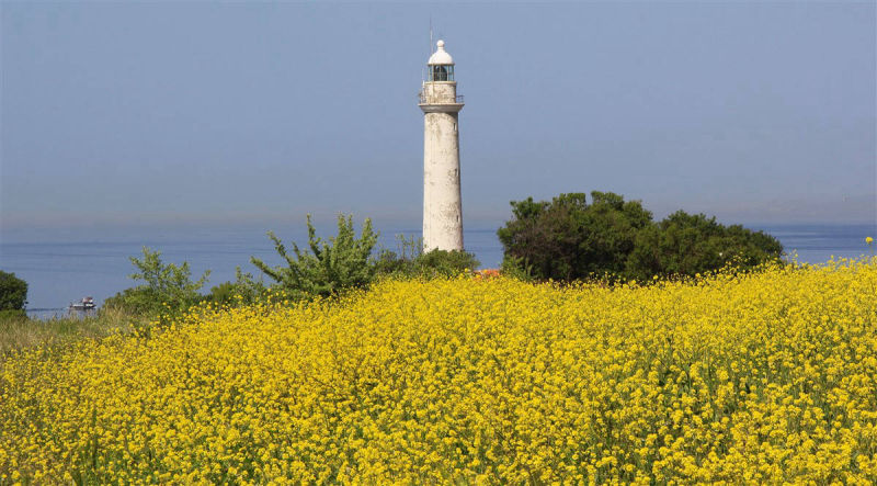 Doğanay Pansiyon Tel:+90 (286) 862 00 63