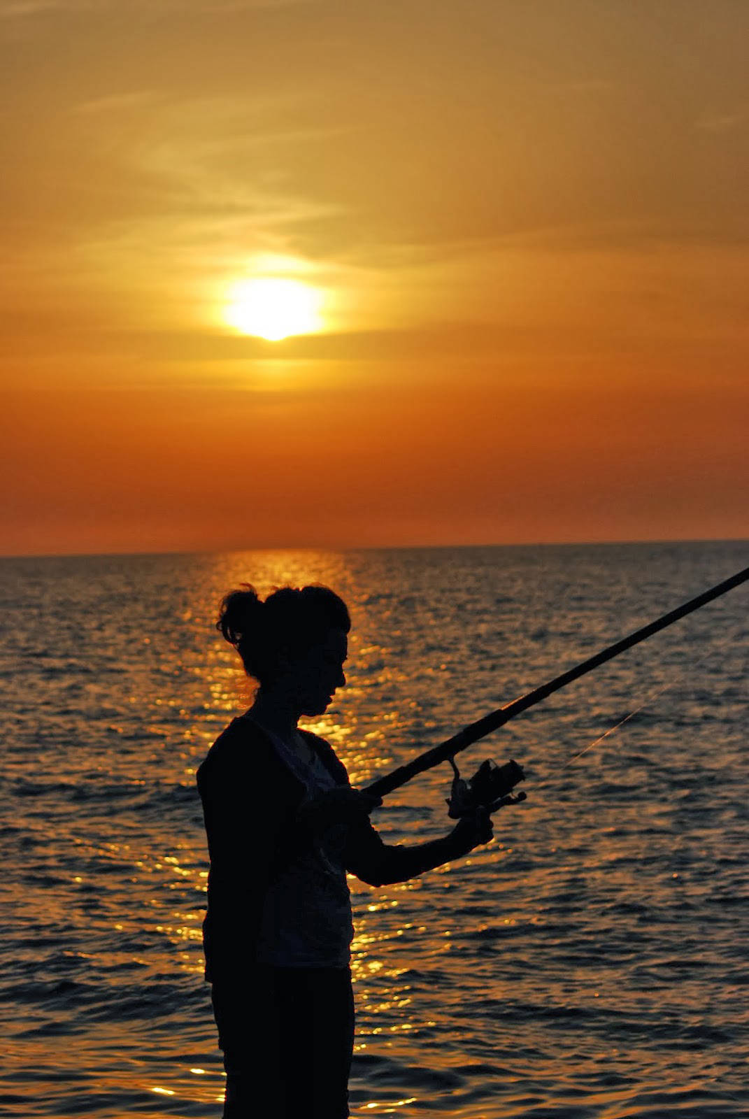 Doğanay Pansiyon Tel:+90 (286) 862 00 63